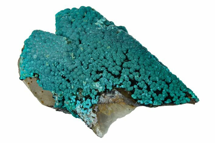 2.4" Chrysocolla on Quartz Crystal Cluster - Tentadora Mine, Peru
